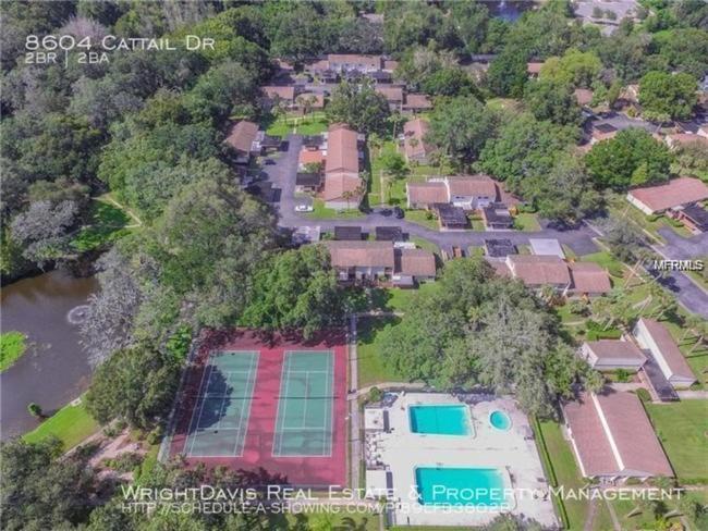 Cozy 3 Bed 2.5 Bath Located Near Busch Gardens Apartment Tampa Luaran gambar